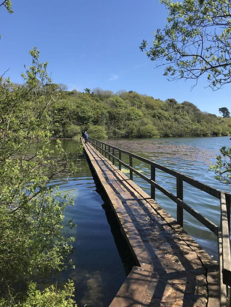 Butland Cottage Pembroke Zewnętrze zdjęcie